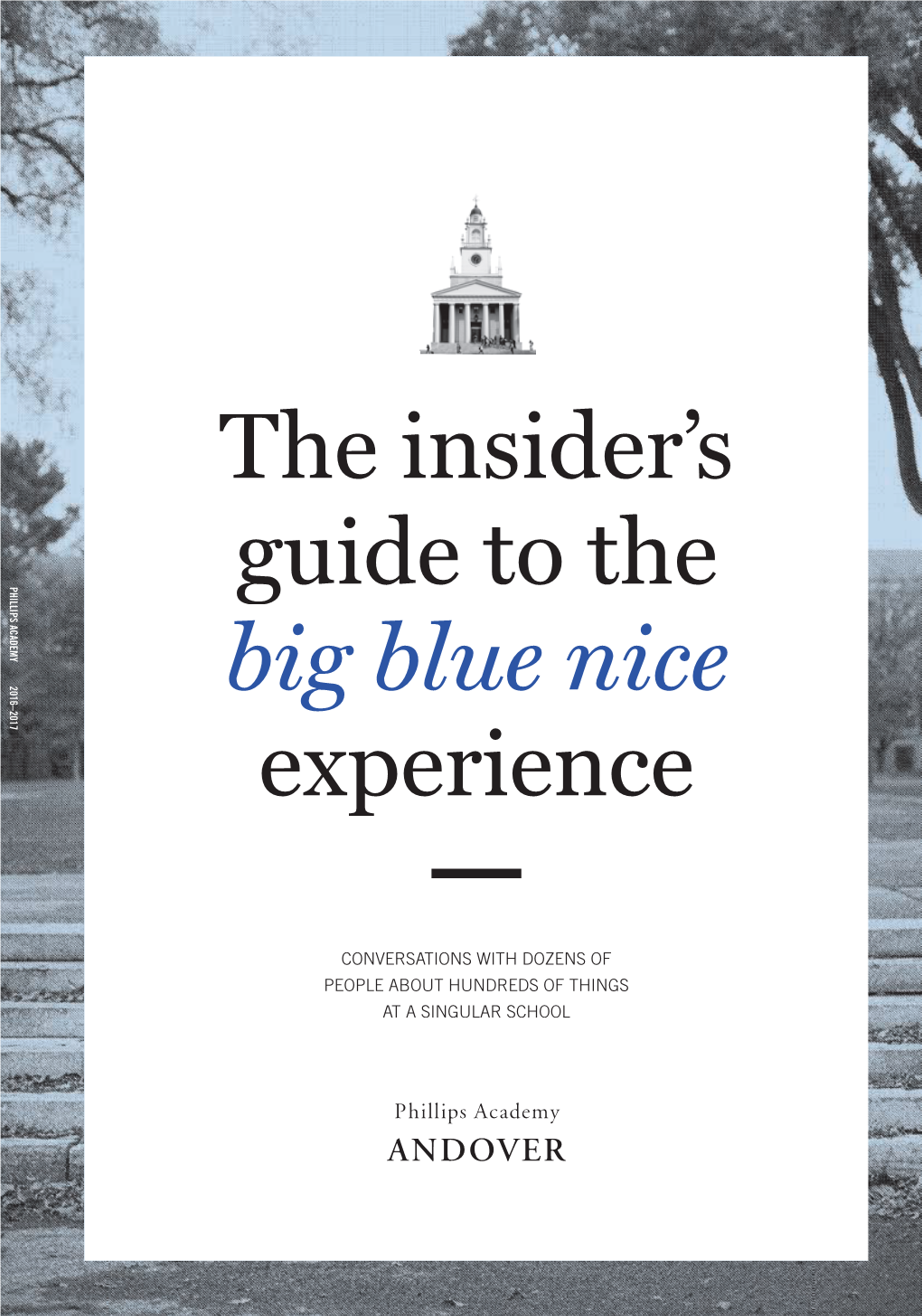 The Insider's Guide to the Big Blue Nice Experience