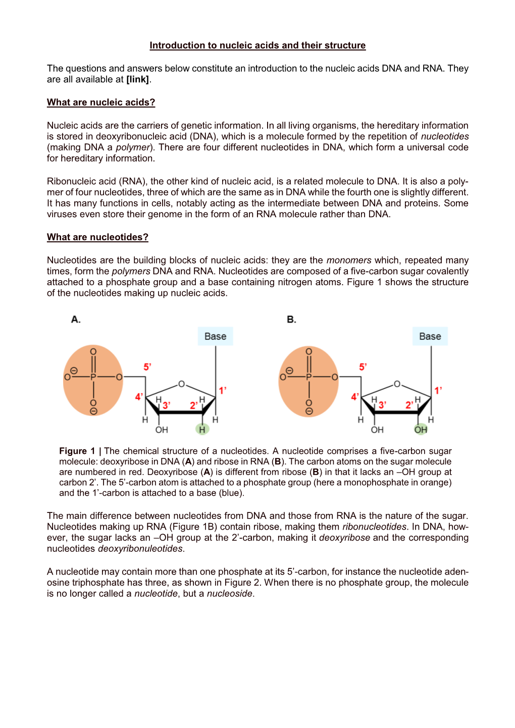 Nucleic-Acids