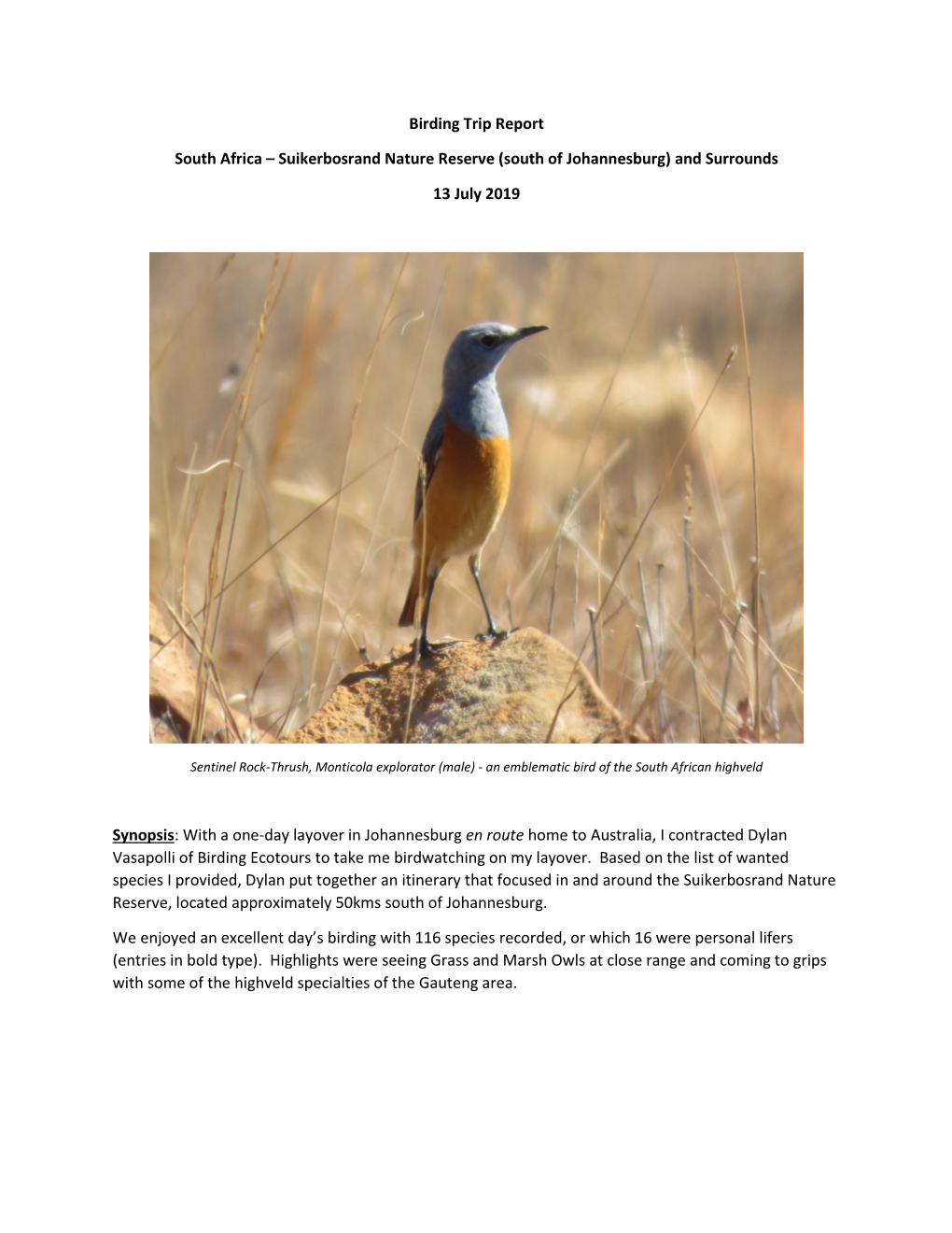 Birding Trip Report South Africa – Suikerbosrand Nature Reserve