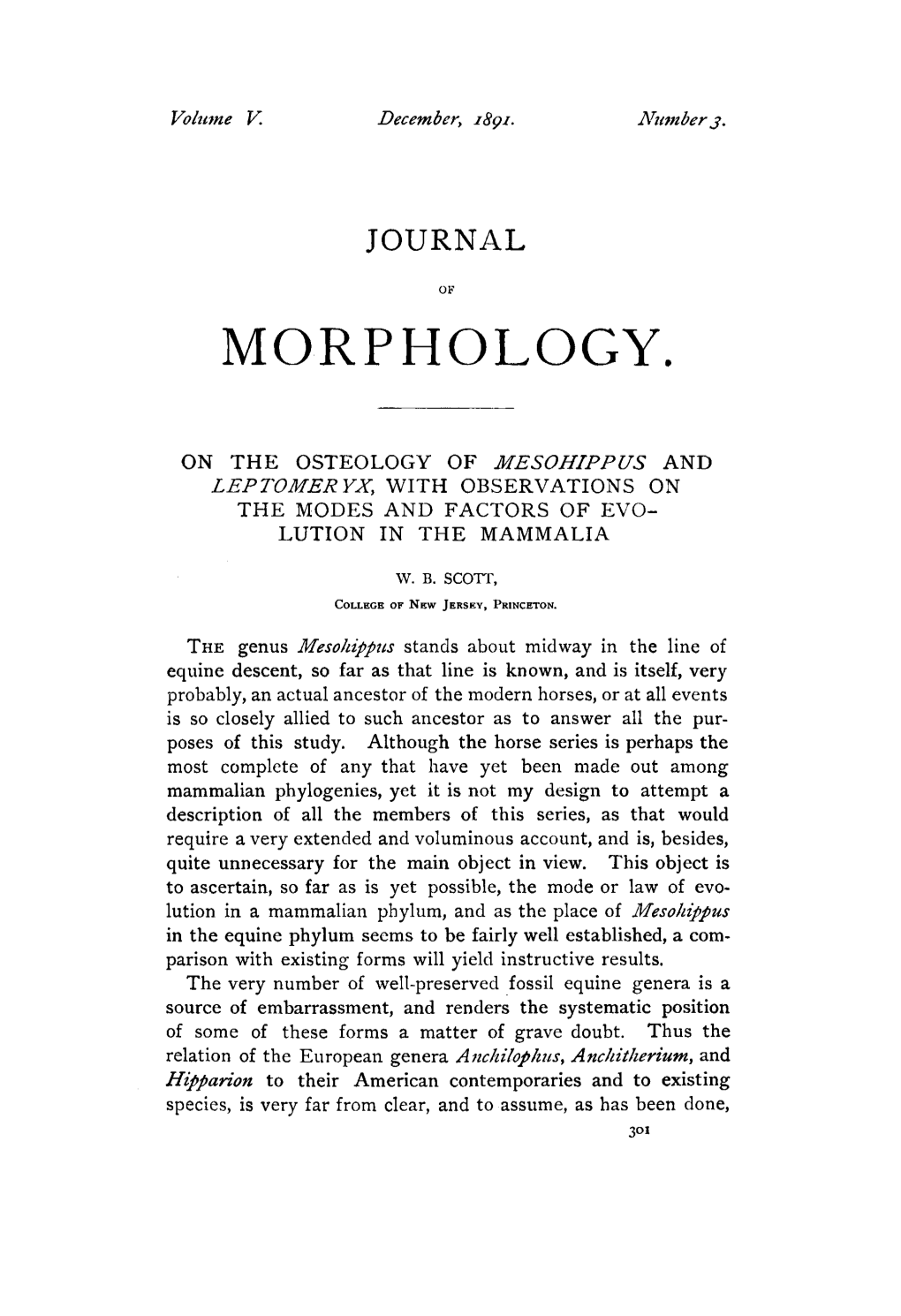 On the Osteology of Mesohippus and Leptomeryx, with Observations On