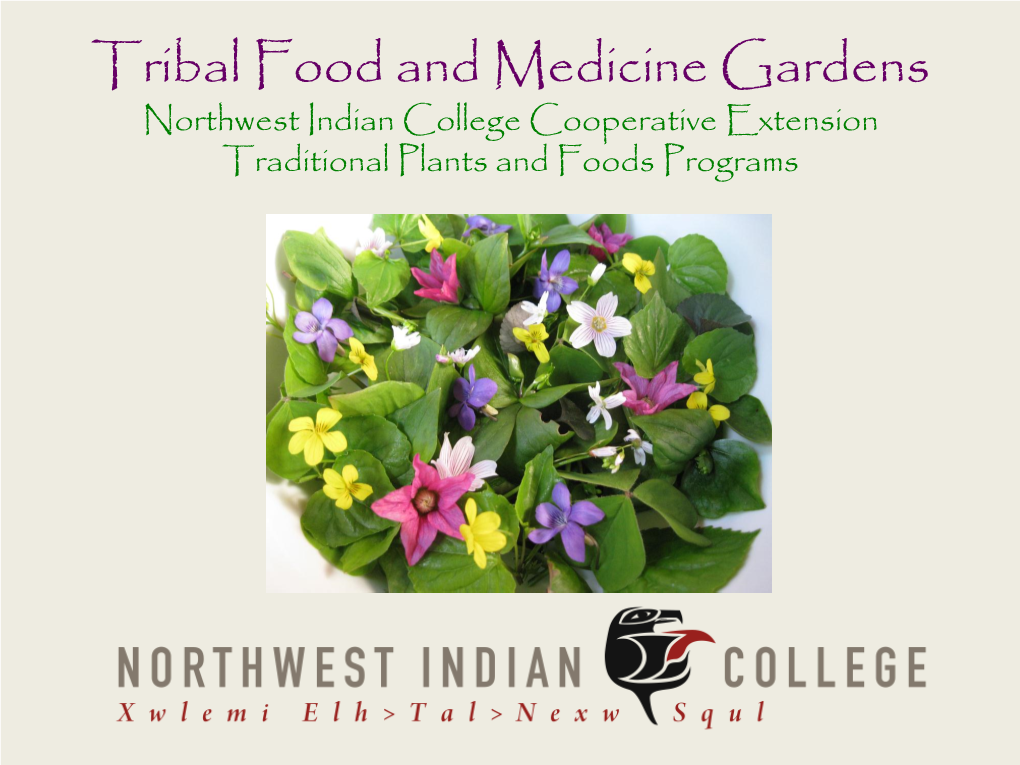 Tribal Food and Medicine Gardens