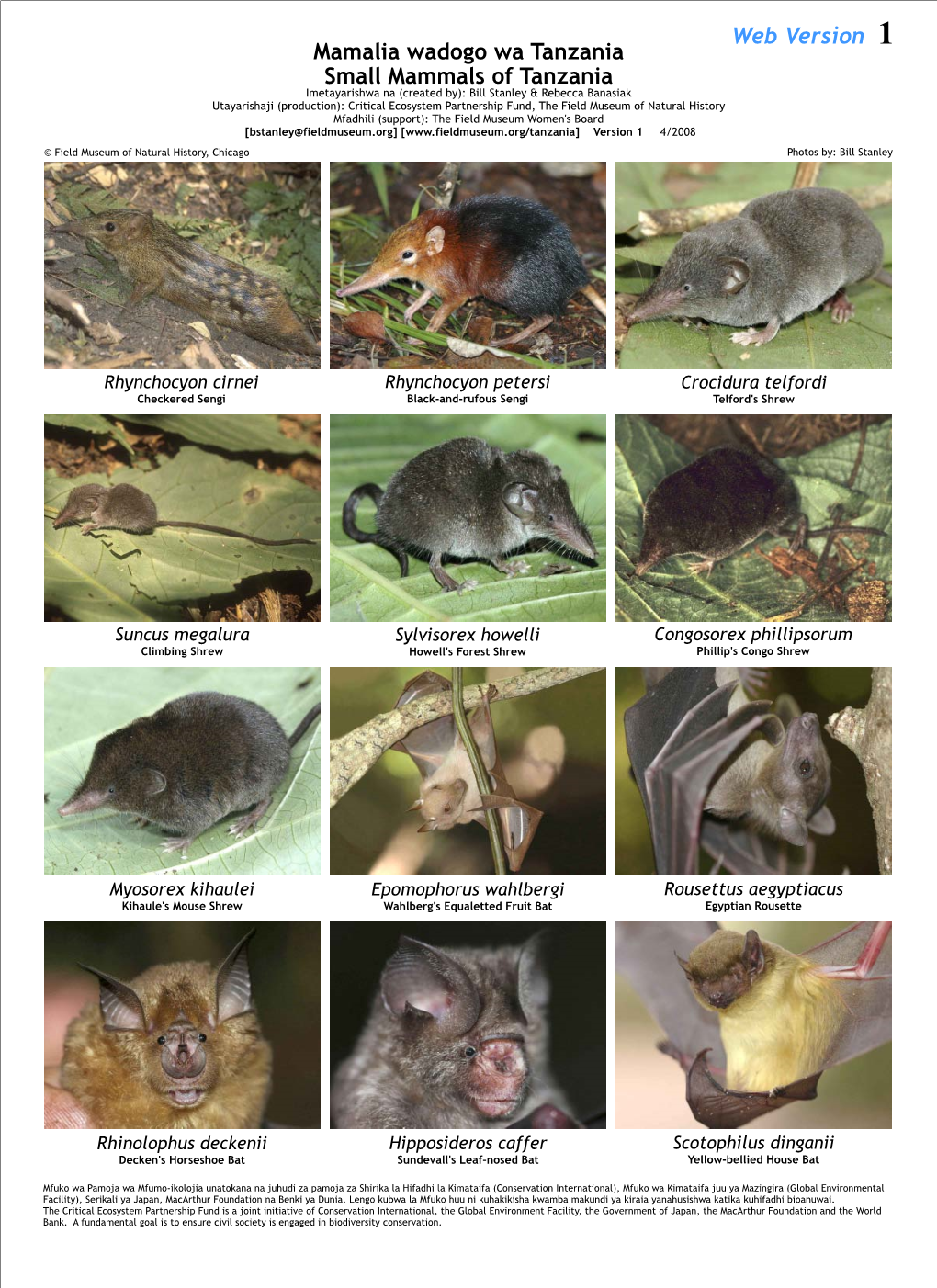 Mamalia Wadogo Wa Tanzania Small Mammals of Tanzania Web Version