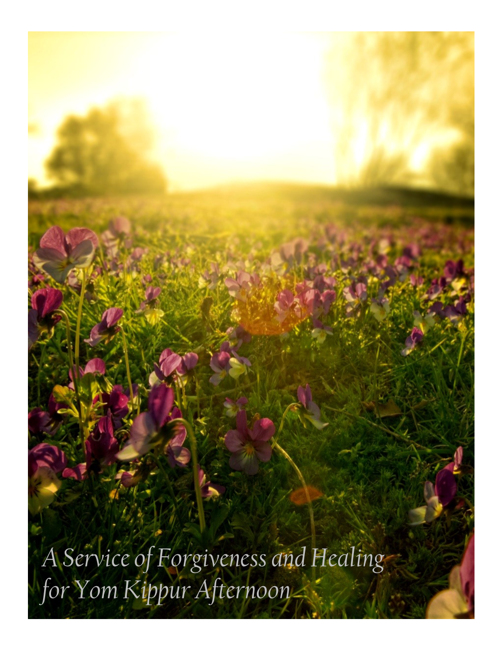 A Service of Forgiveness and Healing for Yom Kippur Afternoon Part I: Introduction & Spiritual Preparation