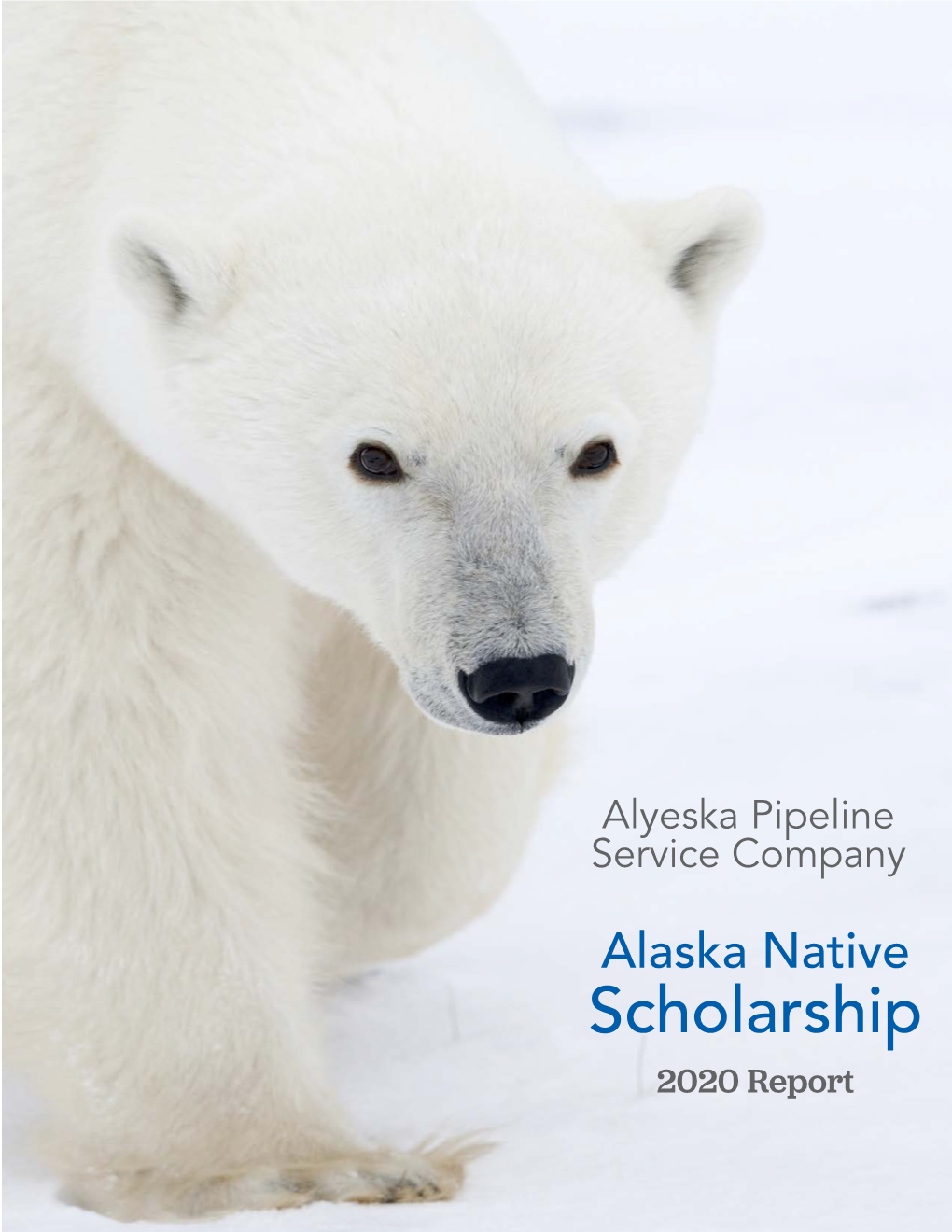 Alyeska Pipeline Native Scholarship Report