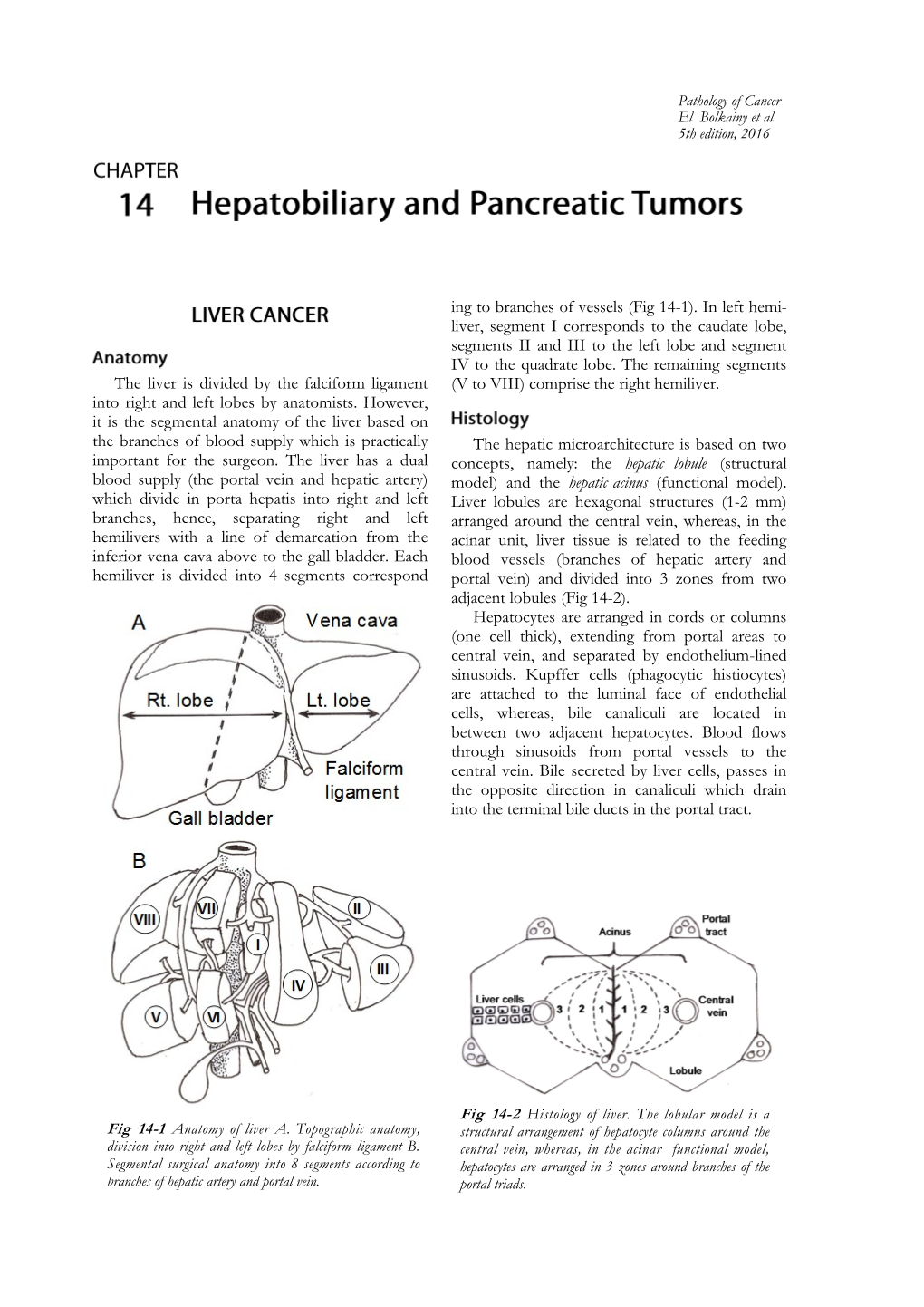 Hepatobiliary and Pancreatic Tumors