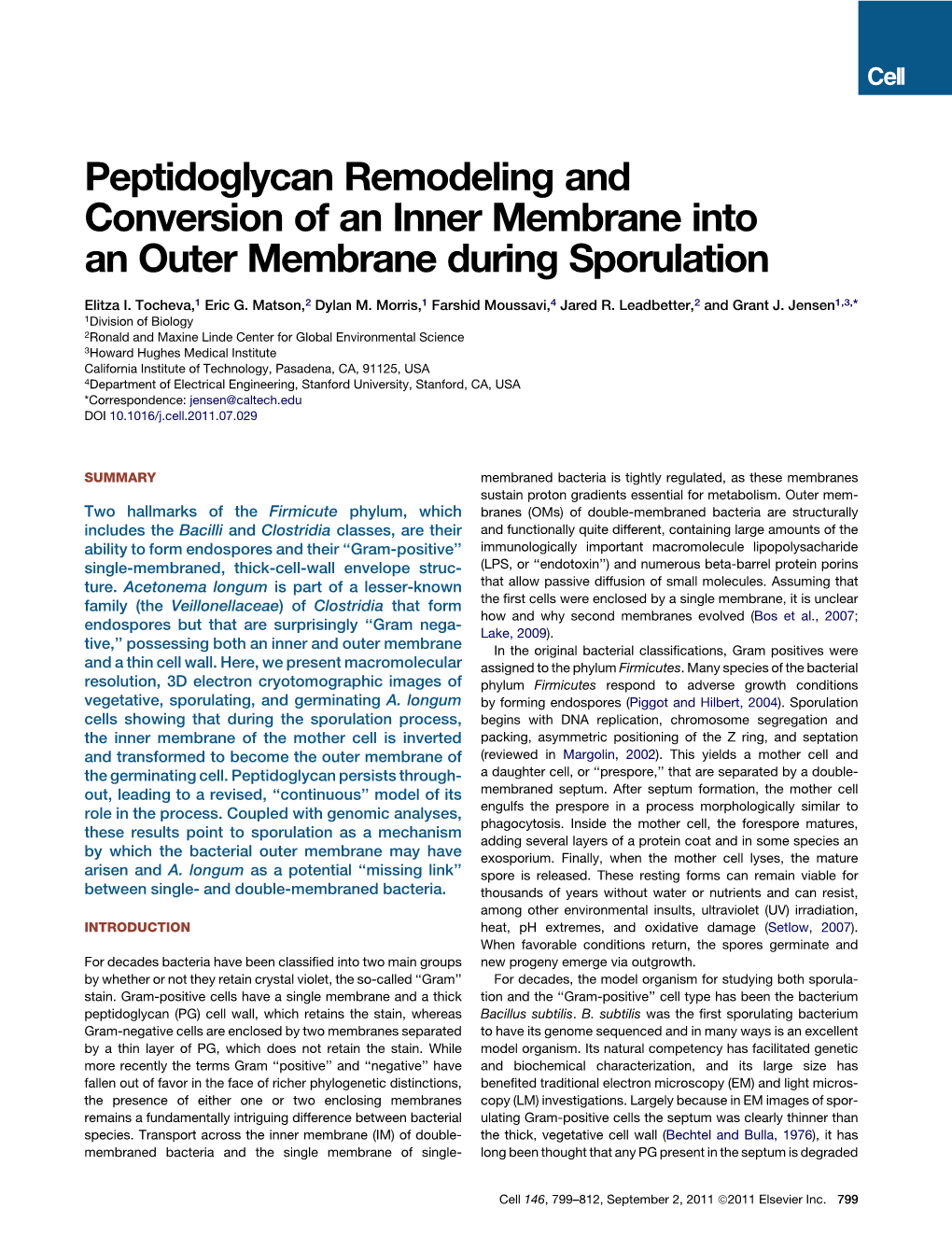 Peptidoglycan Remodeling and Conversion of an Inner Membrane Into an Outer Membrane During Sporulation