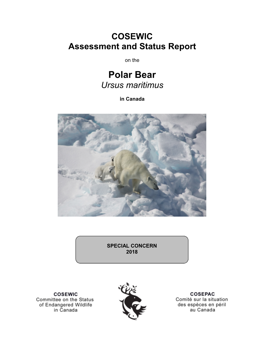 COSEWIC Assessment and Status Report on the Polar Bear Ursus Maritimus in Canada