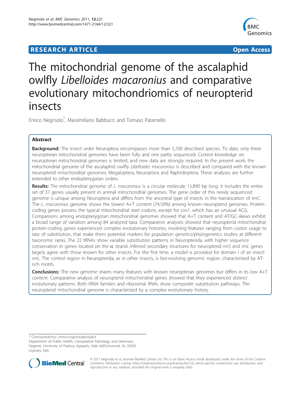 The Mitochondrial Genome of the Ascalaphid Owlfly Libelloides Macaronius and Comparative Evolutionary Mitochondriomics of Neurop