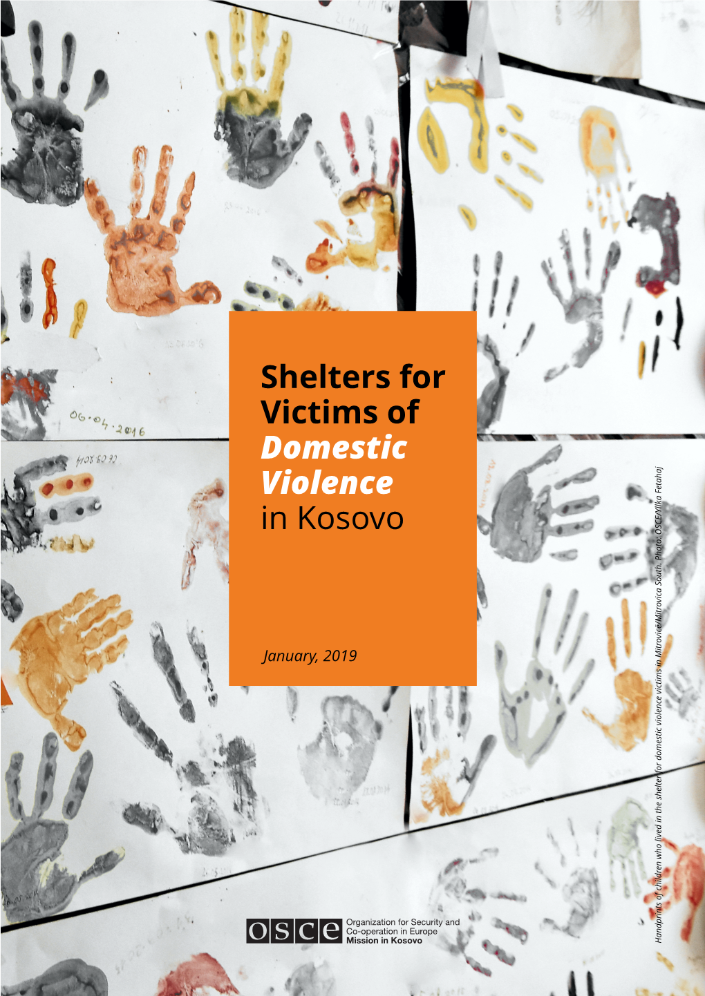 Shelters for Victims of Domestic Violence in Kosovo Vica South