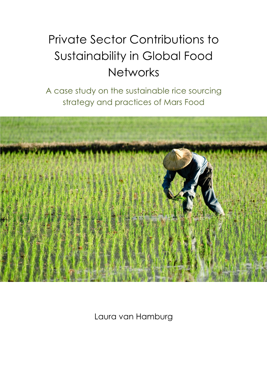 Private Sector Contributions to Sustainability in Global Food Networks