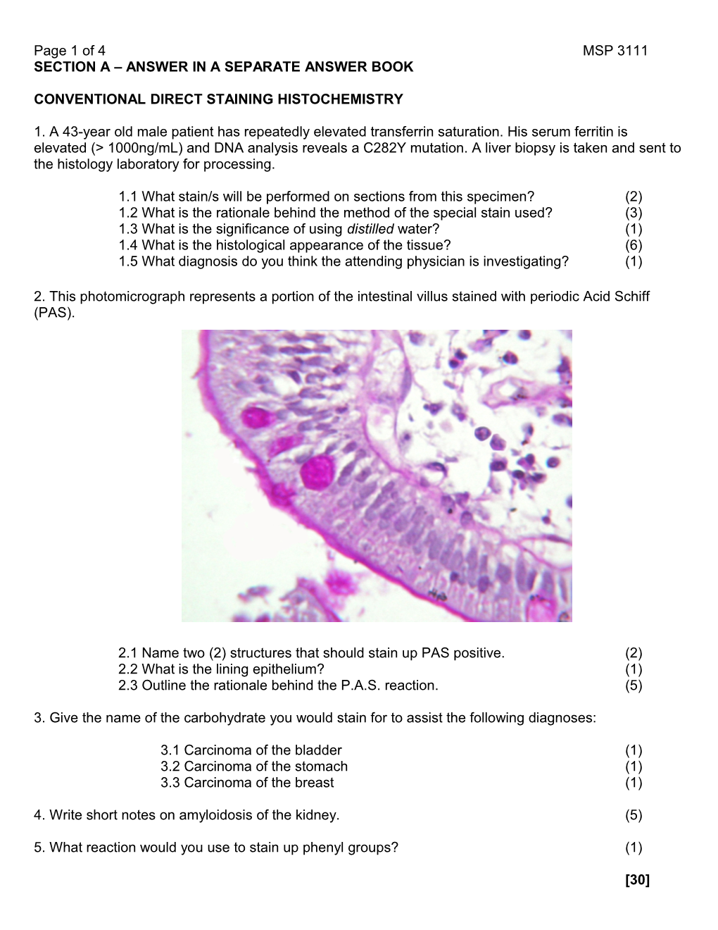 Conventional Direct Staining Histochemistry