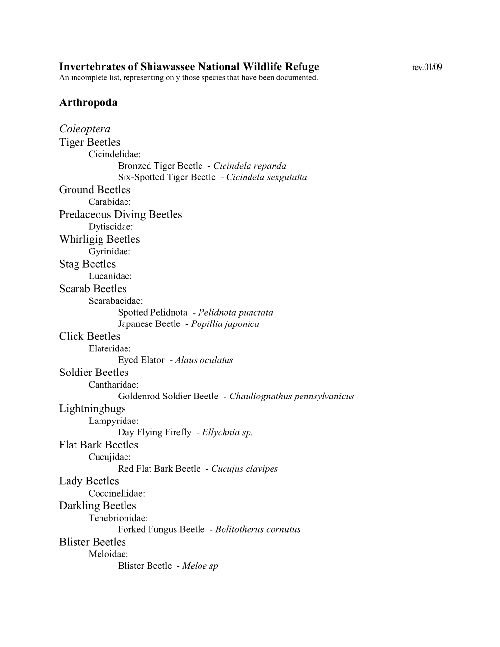 Invertebrates of Shiawassee National Wildlife Refuge Arthropoda Coleoptera Tiger Beetles Ground Beetles Predaceous Diving Beetle