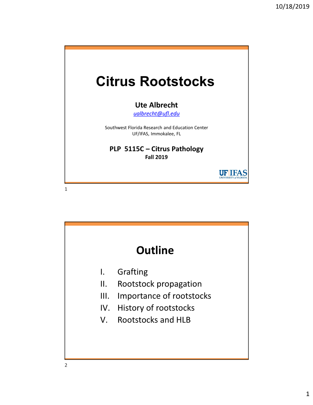 Citrus Rootstocks