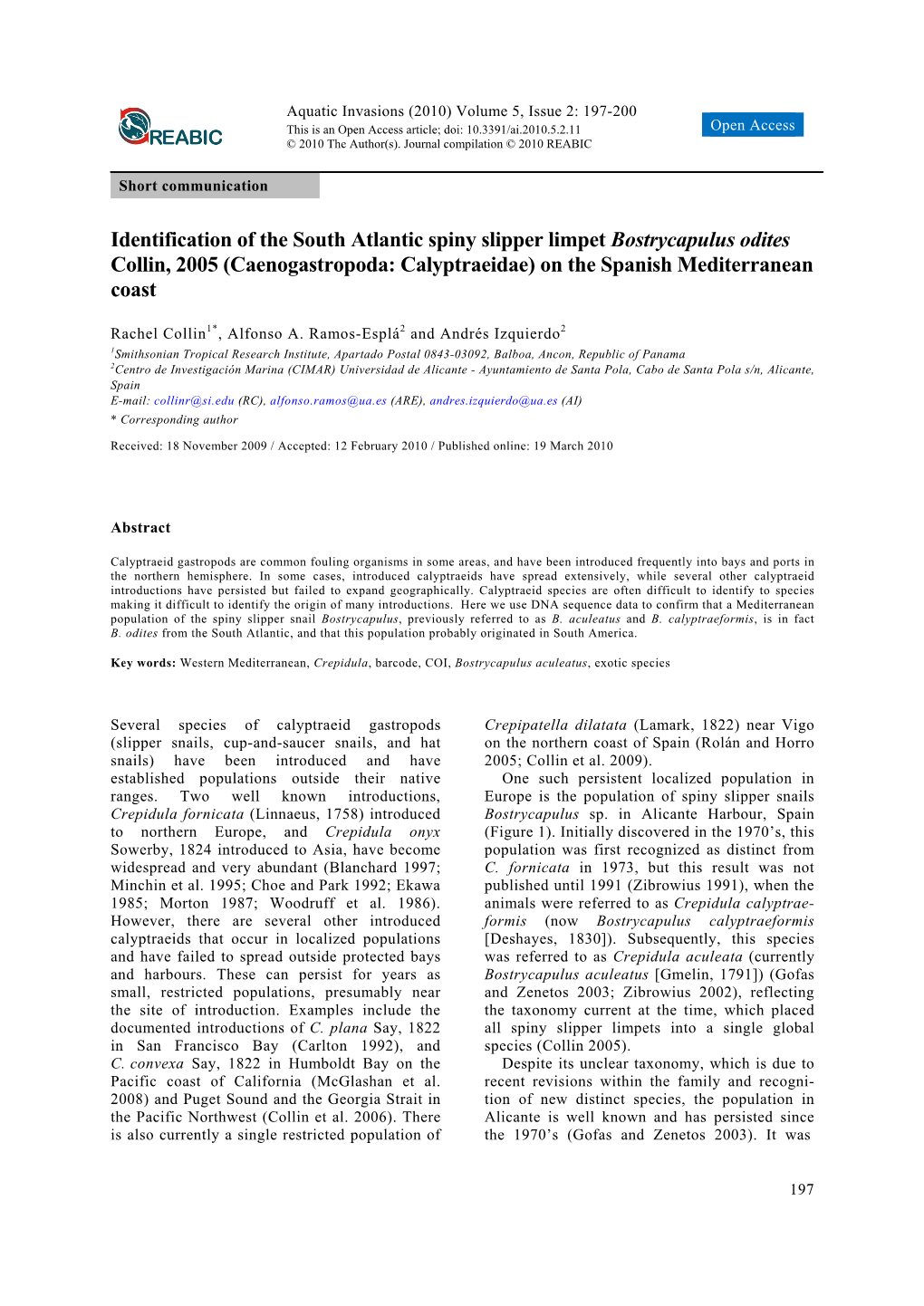 Identification of the South Atlantic Spiny Slipper Limpet Bostrycapulus Odites Collin, 2005 (Caenogastropoda: Calyptraeidae) on the Spanish Mediterranean Coast