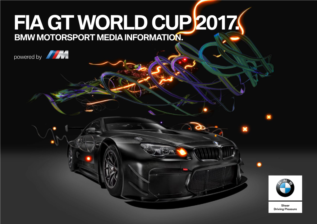 Fia Gt World Cup 2017. Bmw Motorsport Media Information