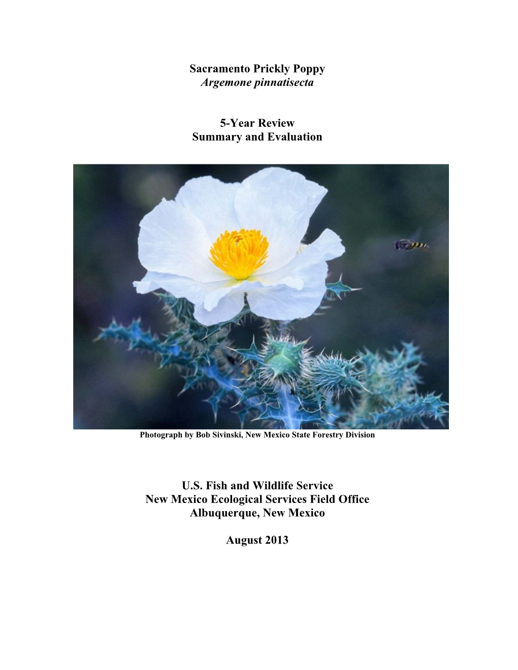 Sacramento Prickly Poppy Argemone Pinnatisecta 5-Year Review