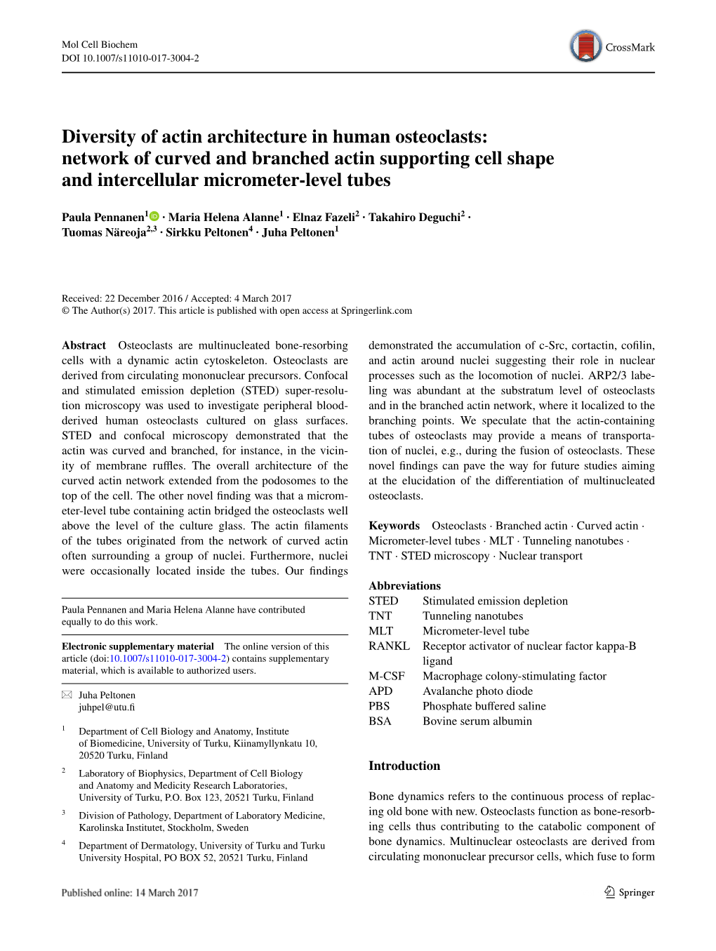 Diversity of Actin Architecture in Human Osteoclasts: Network of Curved and Branched Actin Supporting Cell Shape and Intercellular Micrometer-Level Tubes