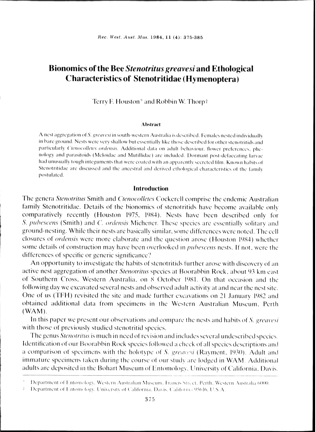 Bionomics of the Bee Stenotritus Greavesi And