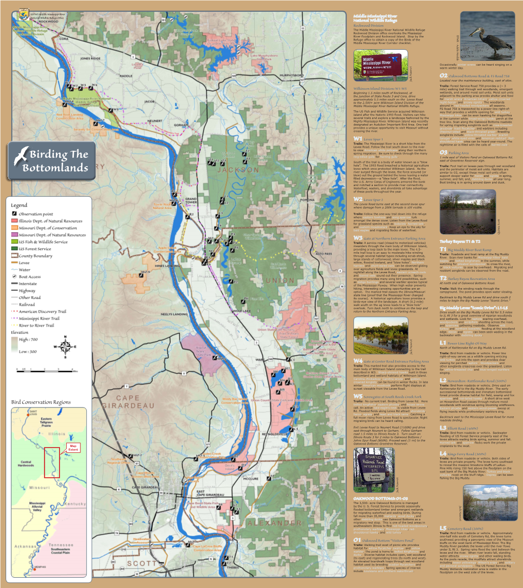 Birding the Bottomlands Brochure