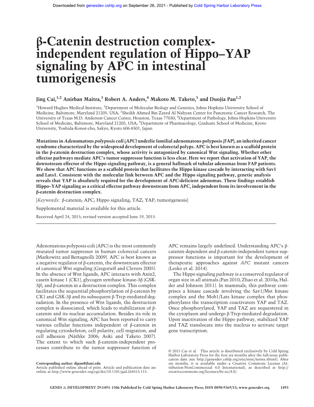 Β-Catenin Destruction Complex- Independent Regulation of Hippo–YAP Signaling by APC in Intestinal Tumorigenesis