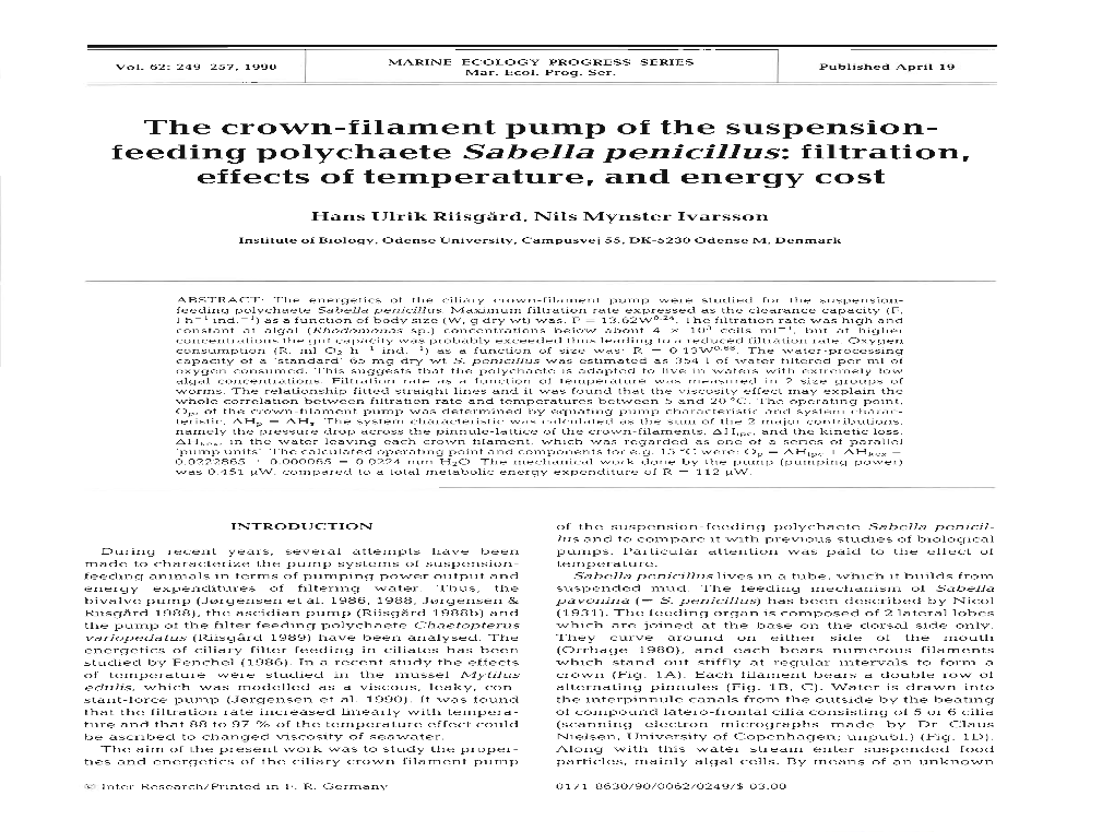 Feeding Polychaete Sabella Penicillus: Filtration, Effects of Temperature, and Energy Cost