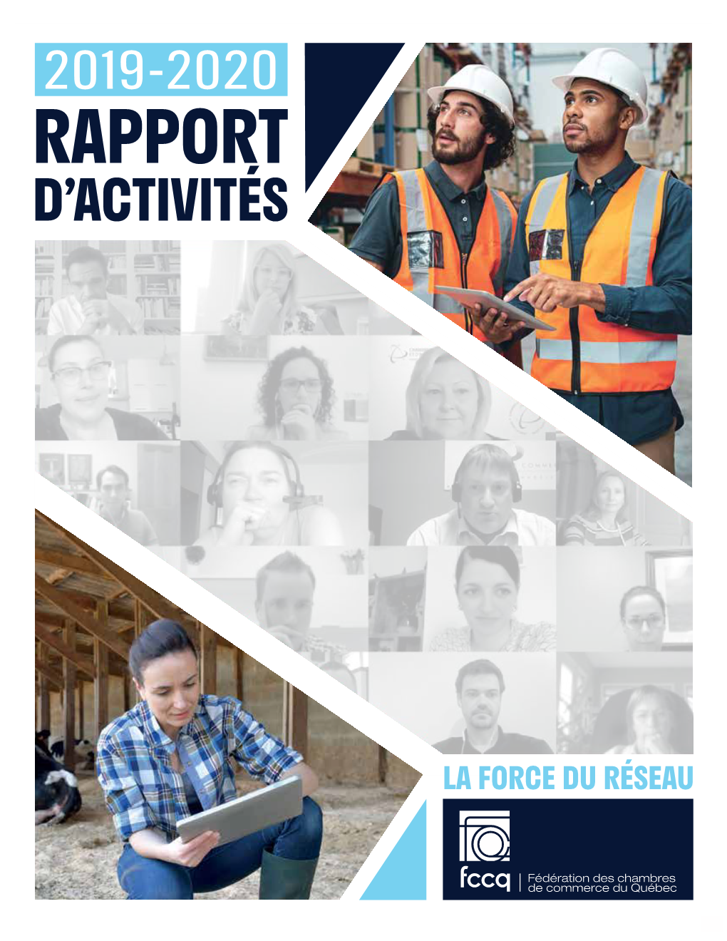 Rapport D’Activités