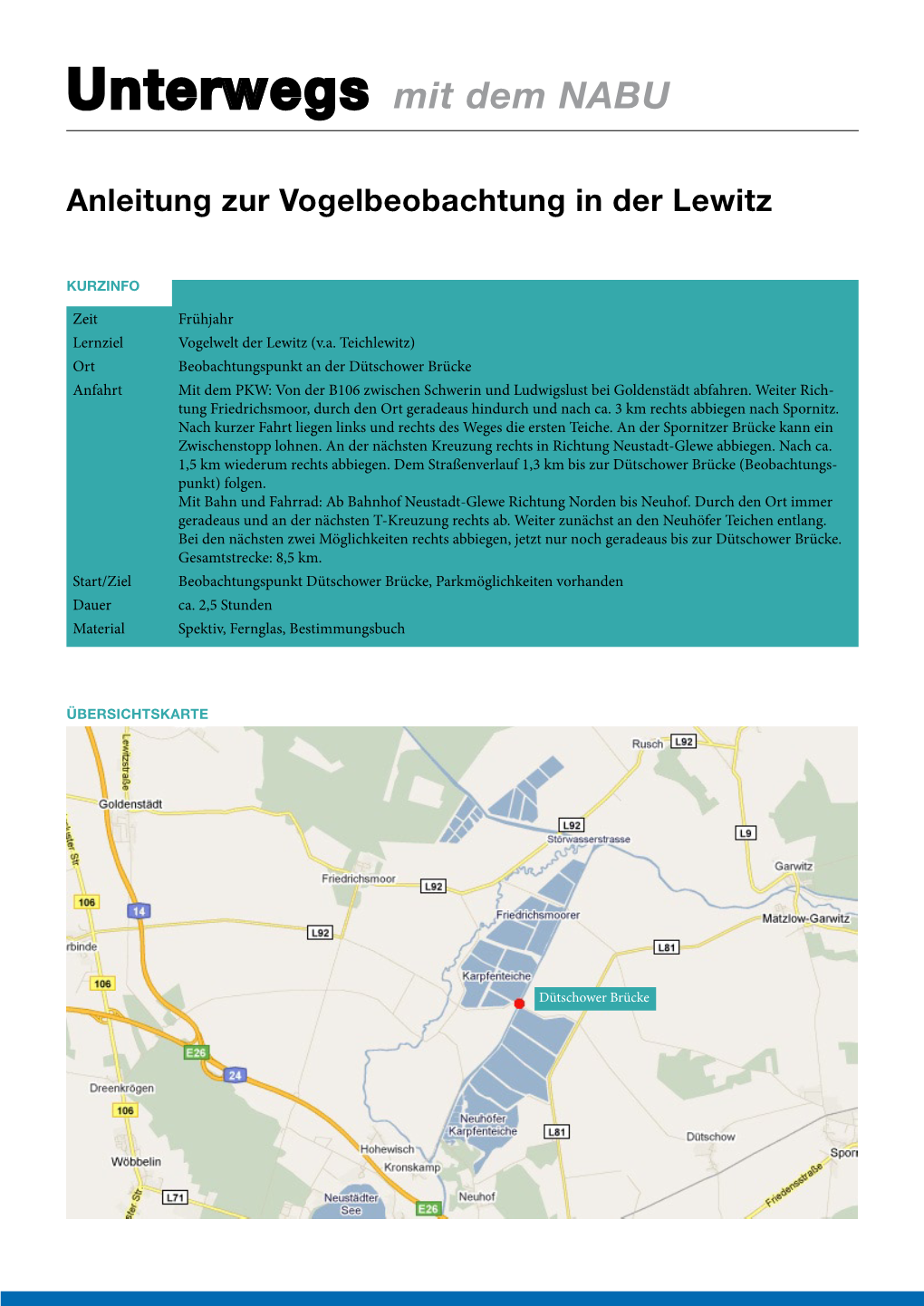 Vogelbeobachtung in Der Lewitz