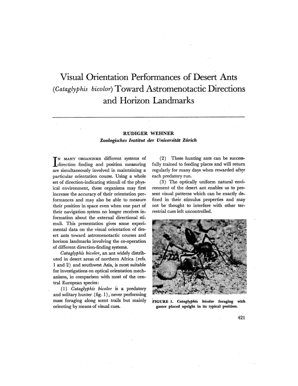 Visual Orientation Performances of Desert Ants Toward As Tromeno