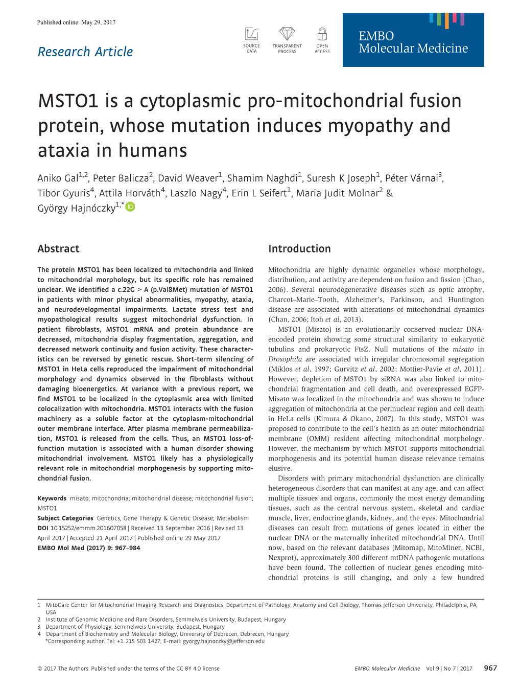 MSTO1 Is a Cytoplasmic Pro&#X2010;Mitochondrial