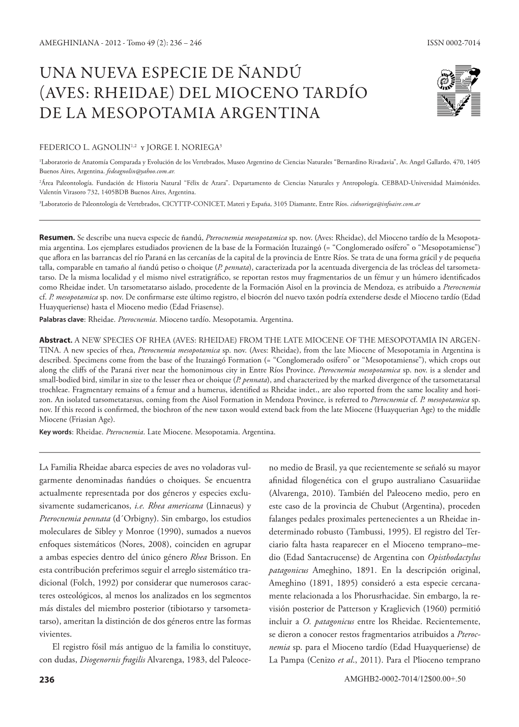 Una Nueva Especie De Ñandú (Aves: Rheidae) Del Mioceno Tardío De La Mesopotamia Argentina