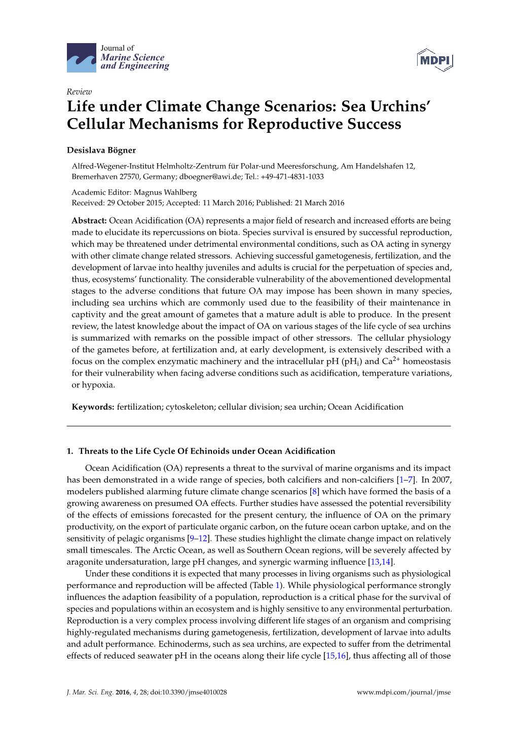 Life Under Climate Change Scenarios: Sea Urchins' Cellular Mechanisms for Reproductive Success