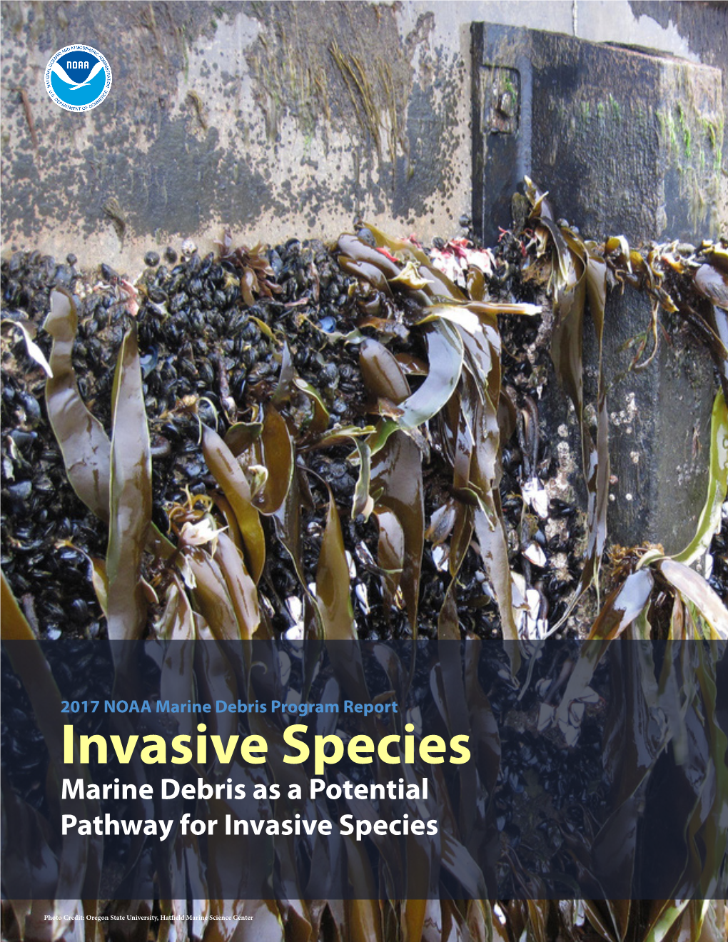 Marine Debris As a Potential Pathway for Invasive Species