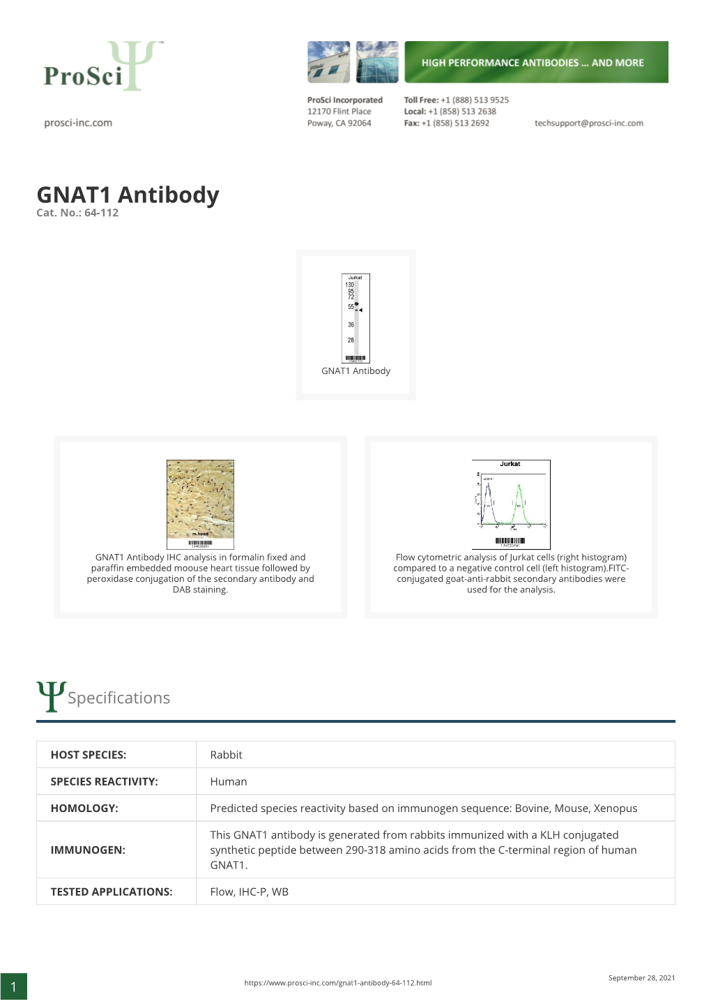 GNAT1 Antibody Cat