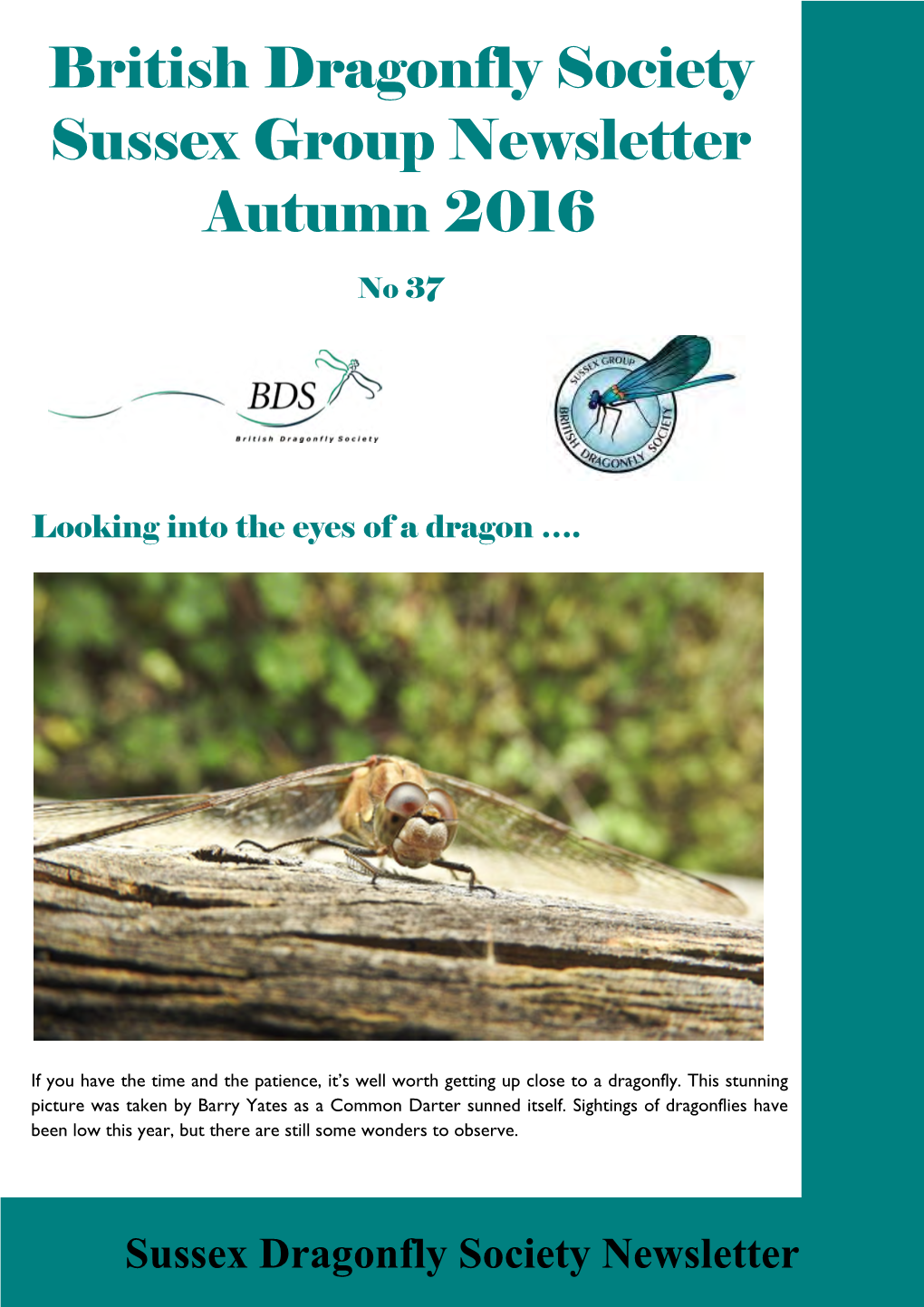 British Dragonfly Society Sussex Group Newsletter Autumn 2016