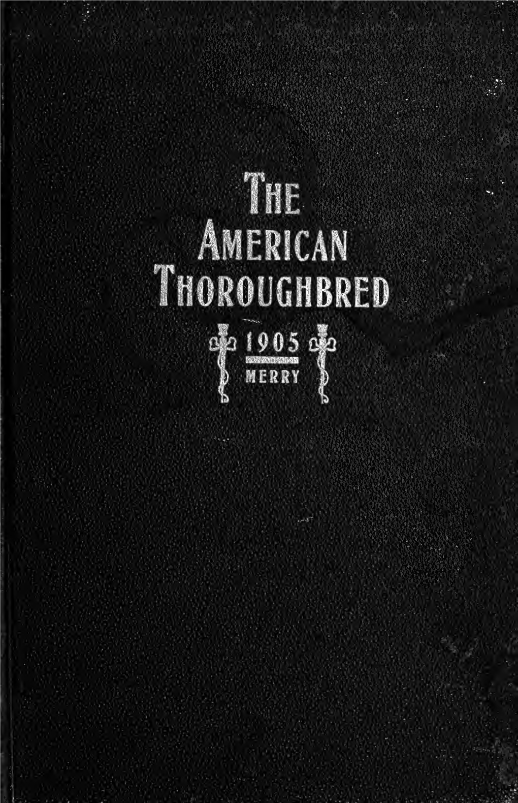 The American Thoroughbred