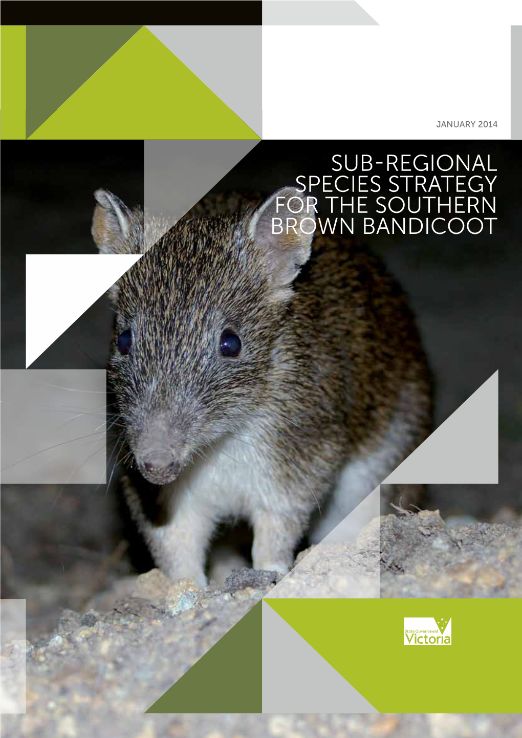 Sub-Regional Species Strategy for the Southern