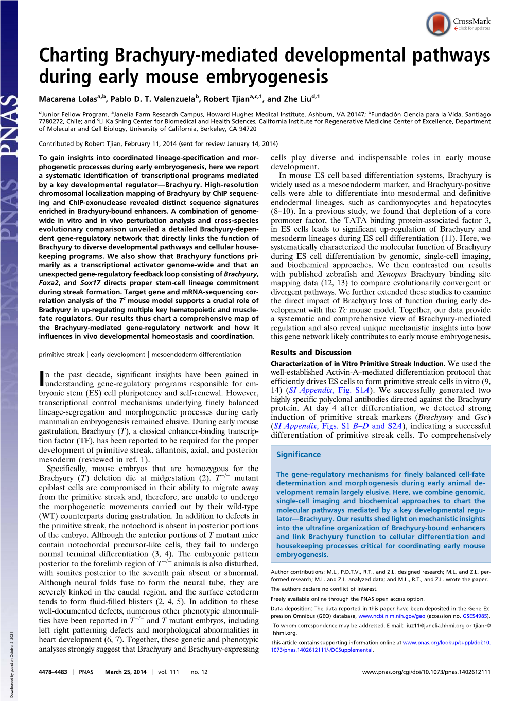 Charting Brachyury-Mediated Developmental Pathways During Early Mouse Embryogenesis