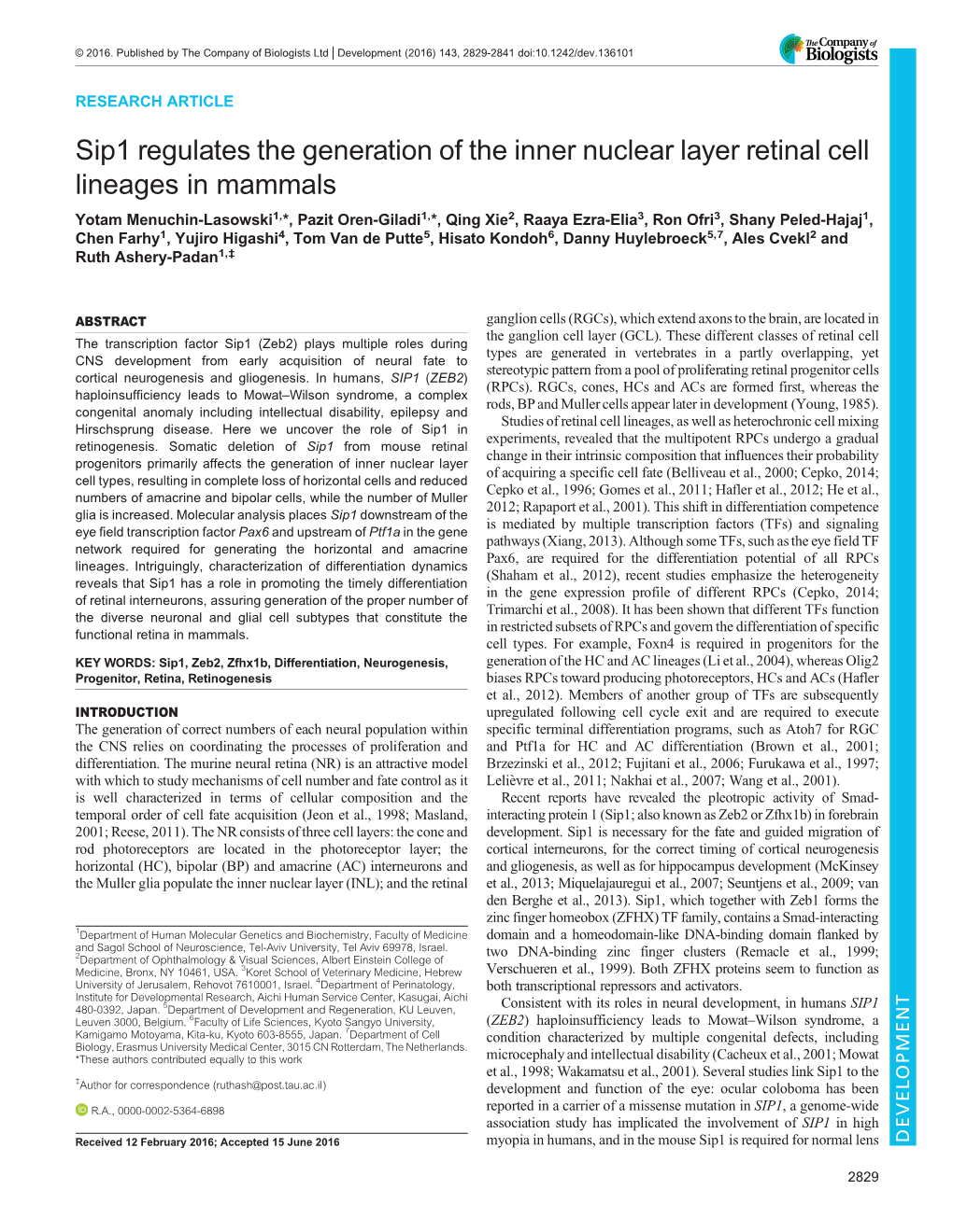 Sip1 Regulates the Generation of the Inner Nuclear Layer Retinal Cell