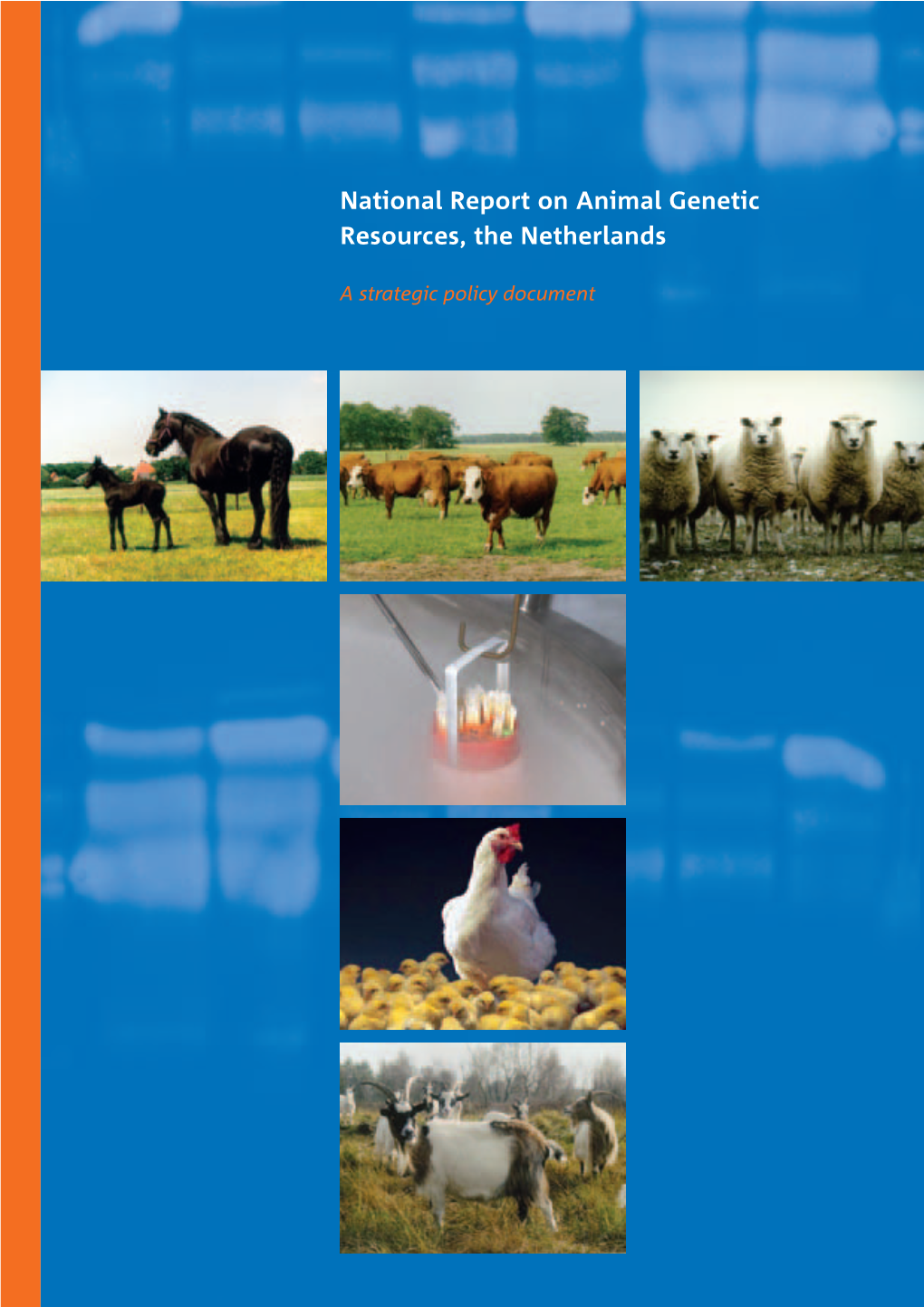 National Report on Animal Genetic Resources, the Netherlands