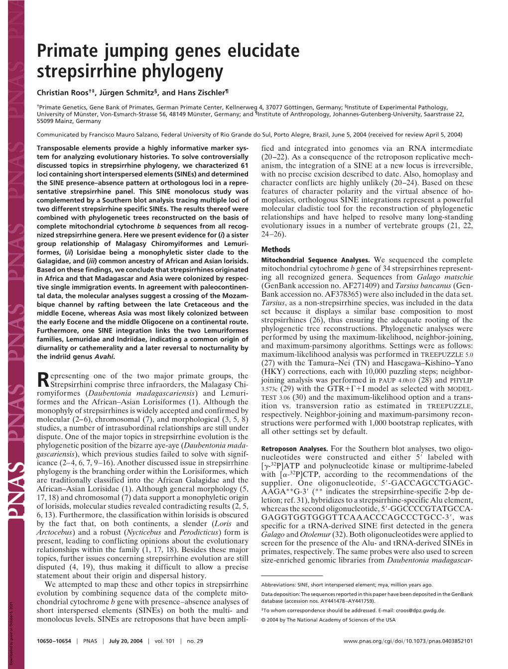 Primate Jumping Genes Elucidate Strepsirrhine Phylogeny