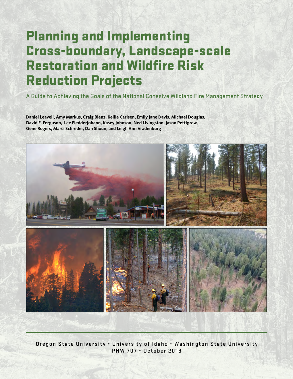 Planning and Implementing Cross-Boundary, Landscape-Scale