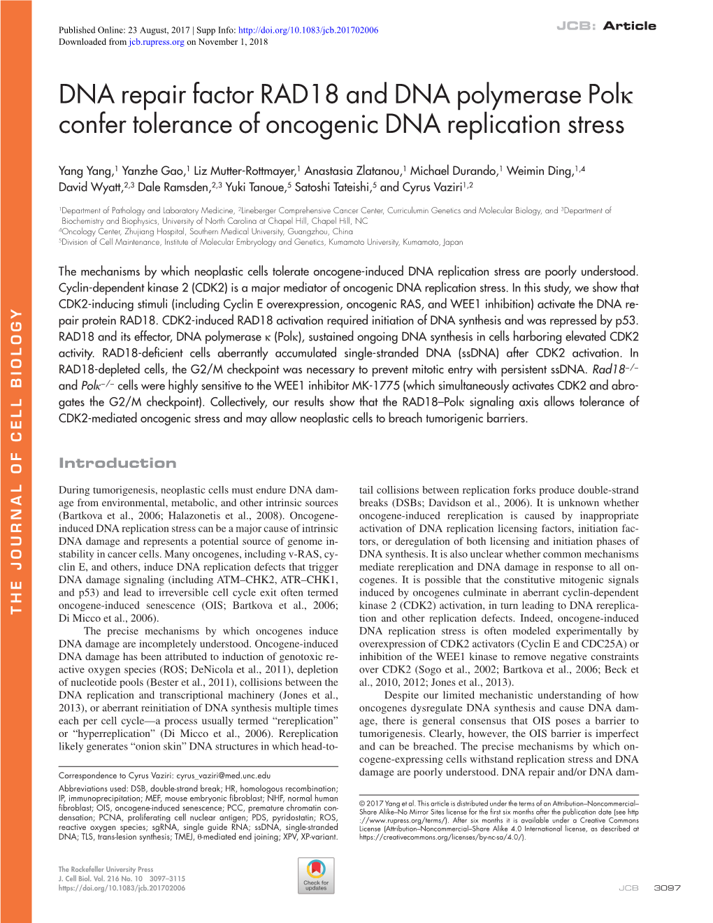 DNA Repair Factor RAD18 and DNA Polymerase Polκ Confer Tolerance of Oncogenic DNA Replication Stress