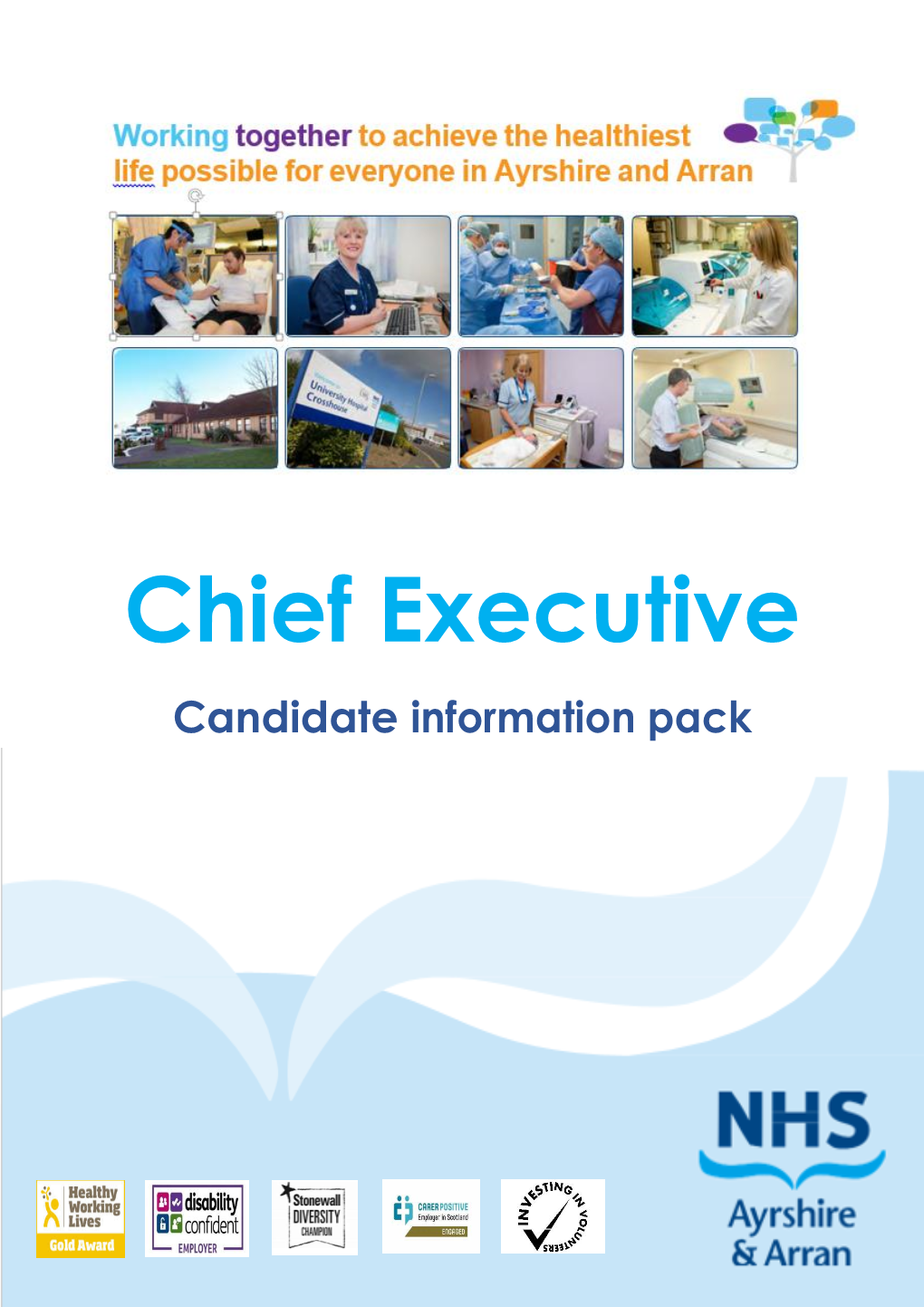 Chief Executive Candidate Information Pack