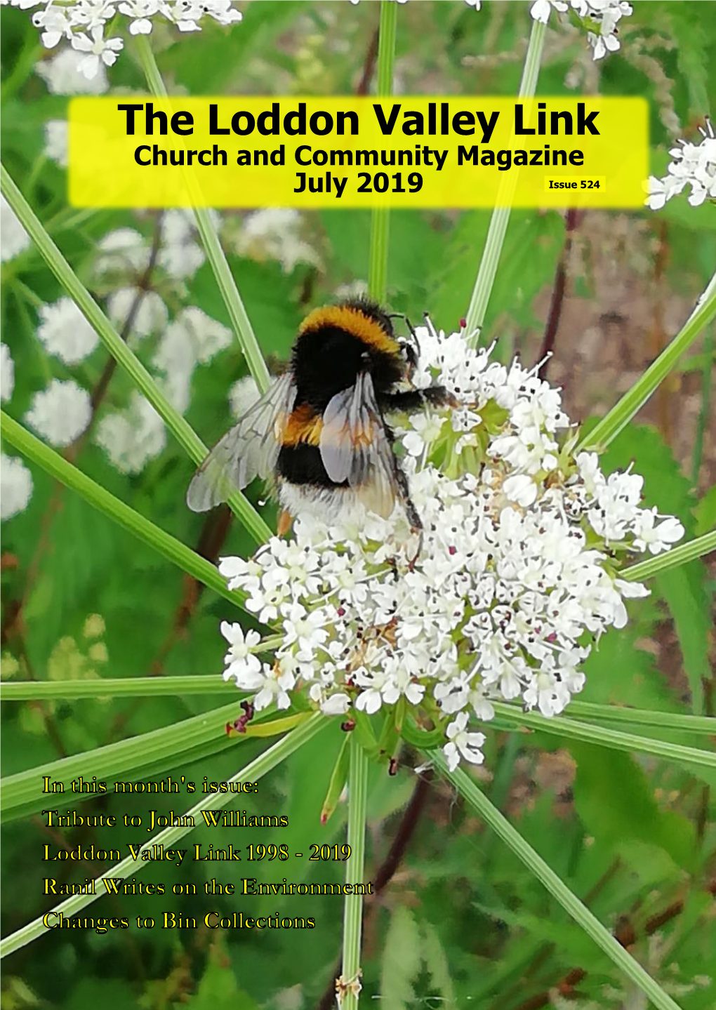 The Loddon Valley Link Church and Community Magazine July 2019 Issue 524