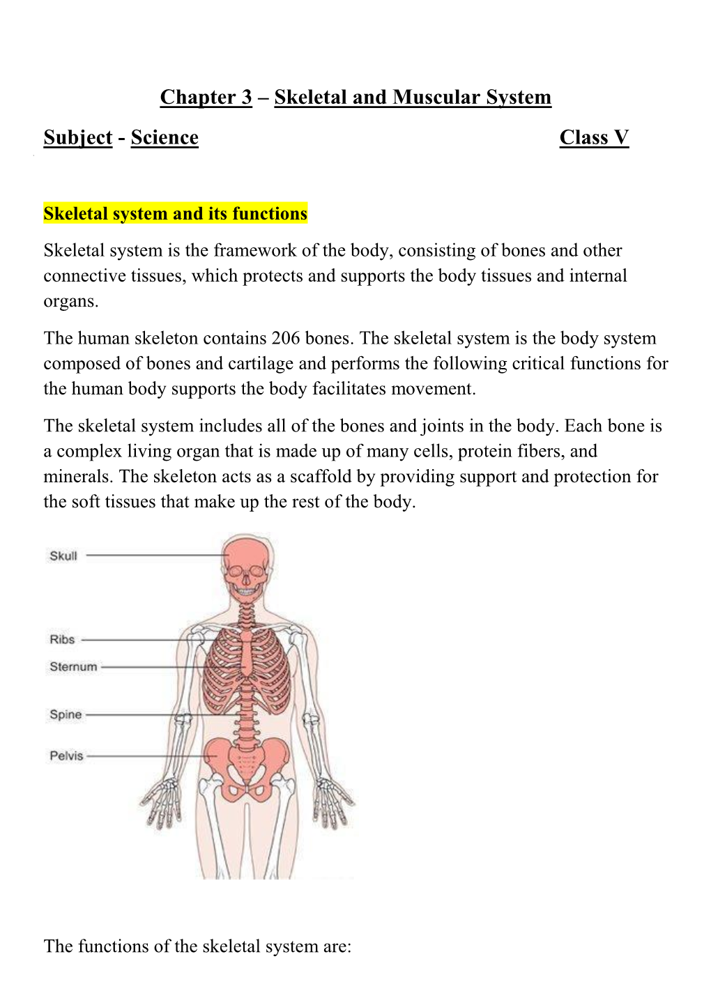 Chapter 3 – Skeletal and Muscular System Subject - Science Class V