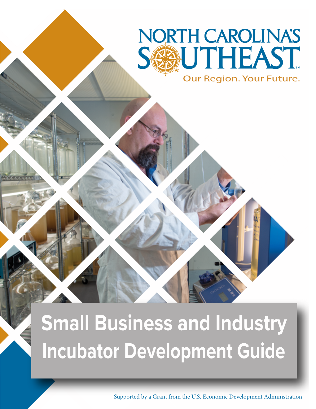 Download Small Business and Industry Incubator Development