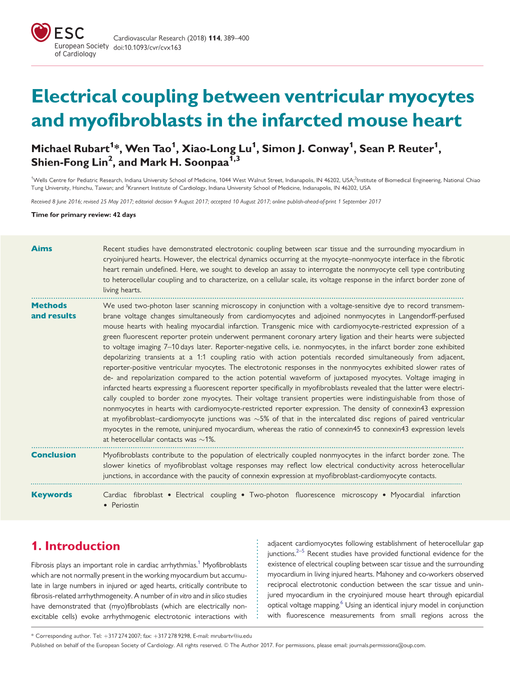 Electrical Coupling Between Ventricular Myocytes and Myofibroblasts in the Infarcted Mouse Heart