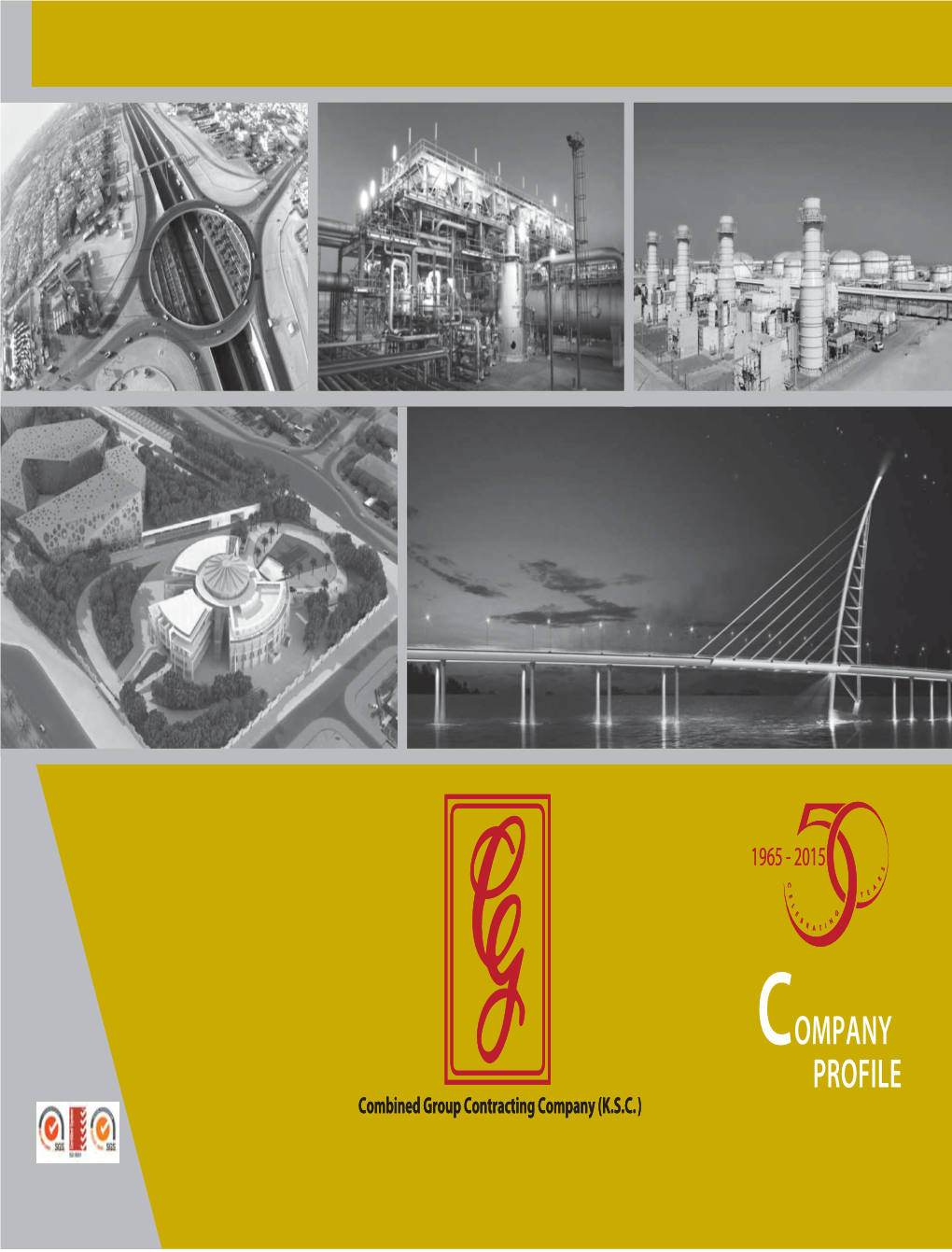 Full Company Profile Download (PDF)