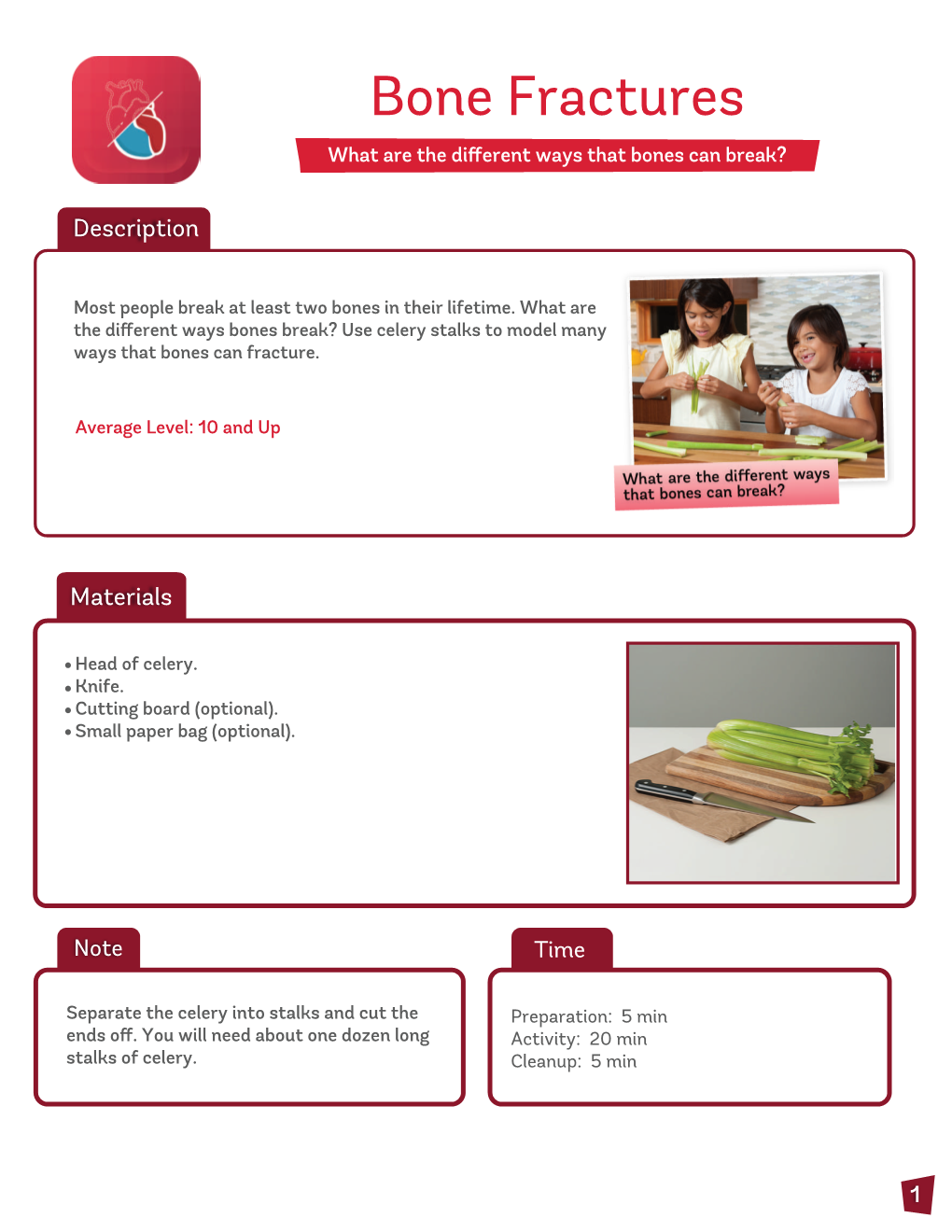 Bone Fractures What Are the Diﬀerent Ways That Bones Can Break?