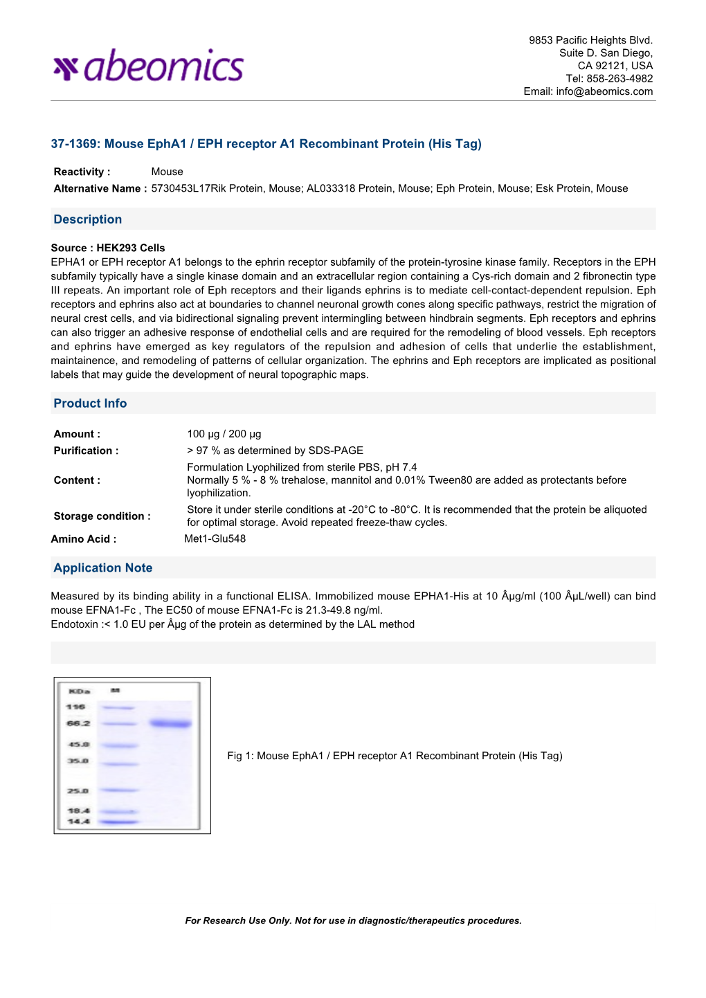 Mouse Epha1 / EPH Receptor A1 Recombinant Protein (His Tag)